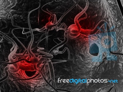 Neuron Stock Image