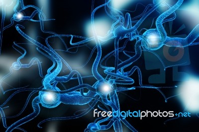 Neuron Stock Image