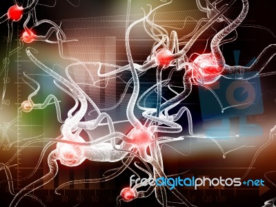 Neuron Stock Image