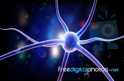 Neuron Stock Image