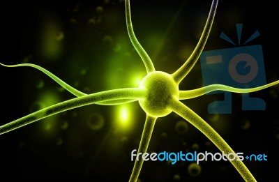 Neuron Stock Image