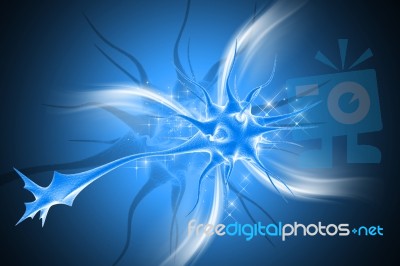 Neuron Stock Image