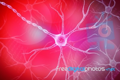 Neuron In Colour Background Stock Image