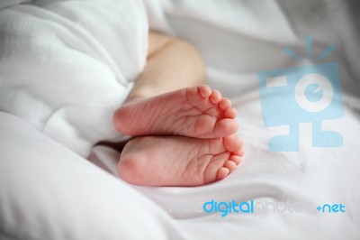 New Born Baby Feet Stock Photo