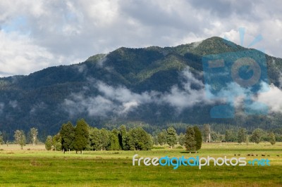 New Zealand Countryside Stock Photo New Zealand Countryside Stock Photo