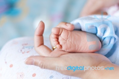 Newborn Baby Feet Stock Photo