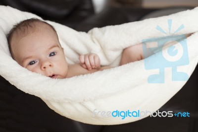 Newborn Baby Hanging Stock Photo