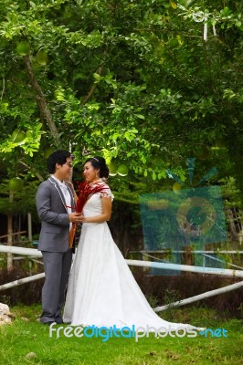 Newly Married Couple In The Park Stock Photo