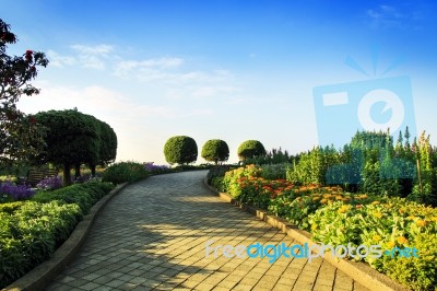 Nice Park In The Morning Stock Photo