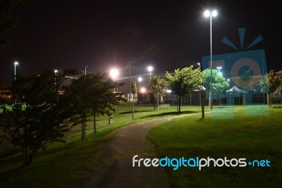 Night Public Park In The City With Houses Near Stock Photo