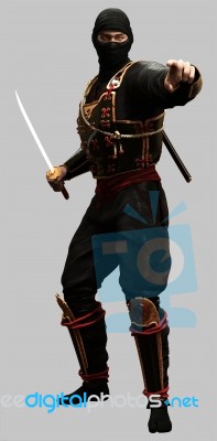 Ninja Stock Image