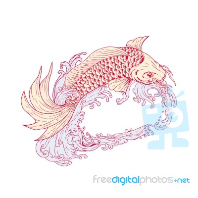 Nishikigoi Koi Jumping Waves Drawing Stock Image