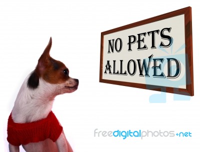 No Pets Allowed Sign Stock Photo
