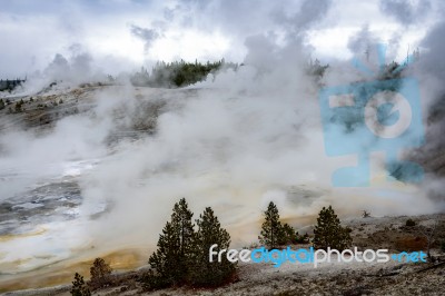 Norris Geyser Basin In Yellowstone National Park Stock Photo