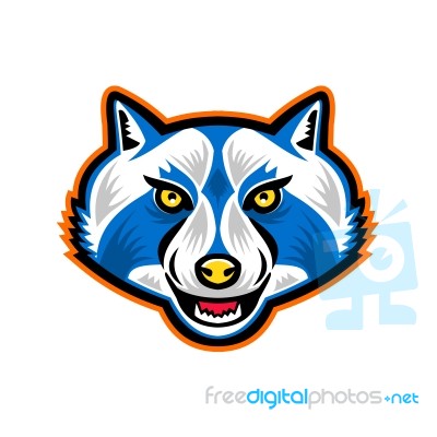 North American Raccoon Mascot Stock Image