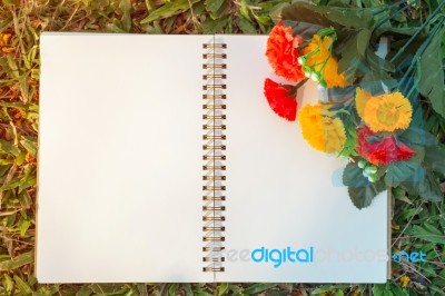 Notebook And Flower Stock Photo