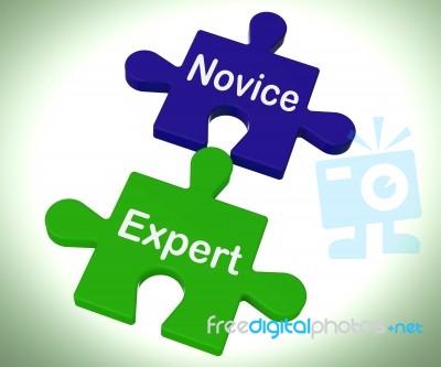 Novice Expert Puzzle Shows Unskilled And Professional Stock Image