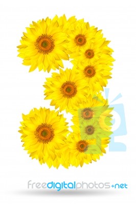 Number 3 Made Of Sunflower Stock Photo