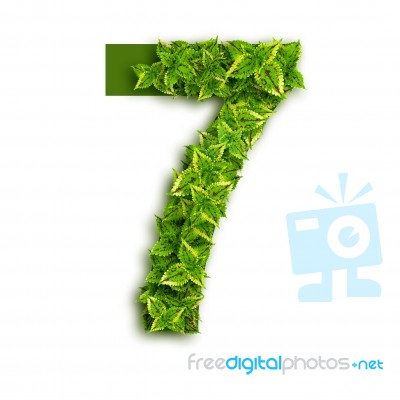 Number 7 With Leaves Stock Photo