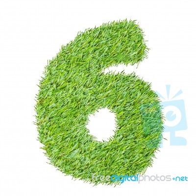 Numbers From The Green Grass, Isolated On White Stock Photo