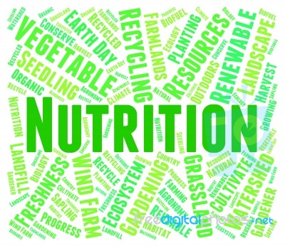 Nutrition Word Shows Food Words And Nutriments Stock Image