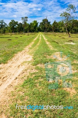 Off Road Track Stock Photo