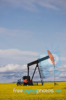 Oil Well In Canola Field Stock Photo