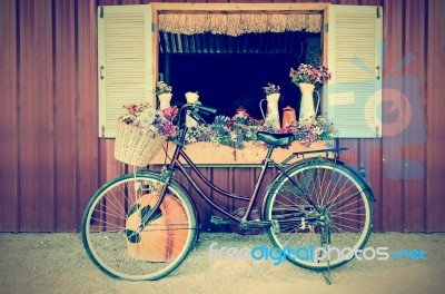 Old Bicycle And Flowers In Vintage Style Stock Photo