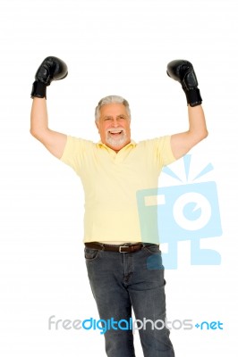 Old Champ Stock Photo