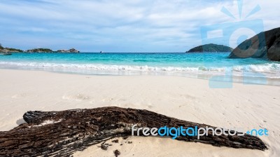 Old Driftwood At The Beach On Island In Thailand Stock Photo