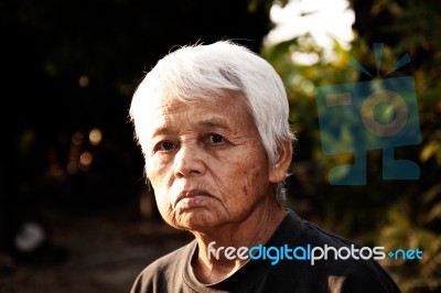 Old Lady Stock Photo