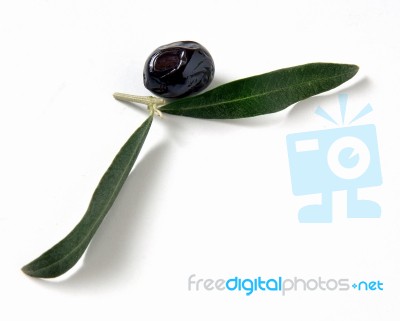 Olive With Leaf Stock Photo