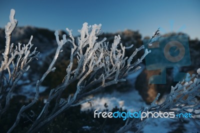 On Top Of Mount Wellington In Hobart, Tasmania During The Day Stock Photo