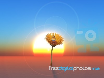 One Flower Stock Image
