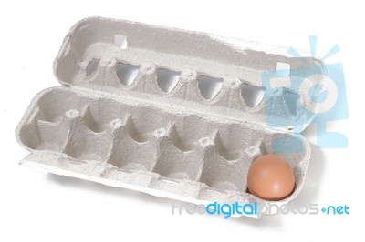 One Single Egg Stock Photo