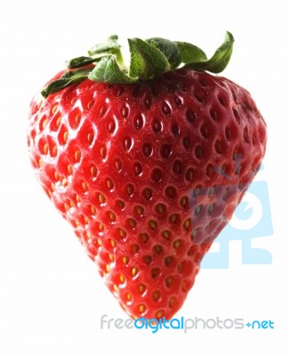 One Strawberry Stock Photo