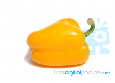 One Yellow Sweet Pepper Stock Photo