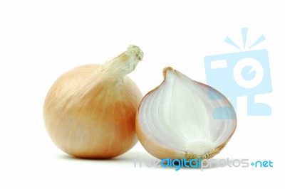 Onion Stock Photo