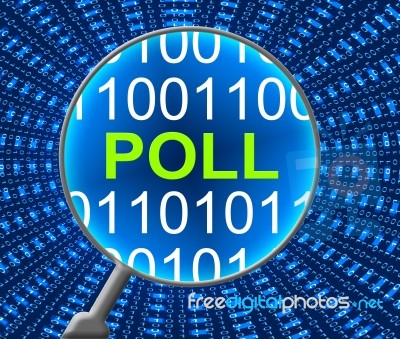 Online Poll Shows Technology Digital And Data Stock Image