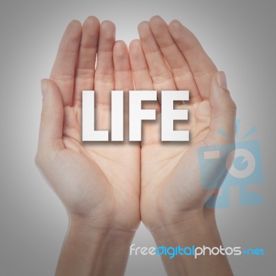 Open Palms With Word Life Stock Photo