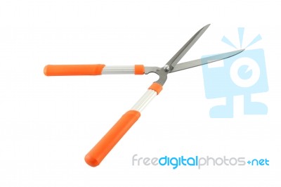 Opened Grass Shear On White Background Stock Photo