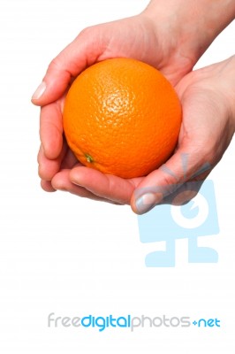 Orange In The Hands Stock Photo