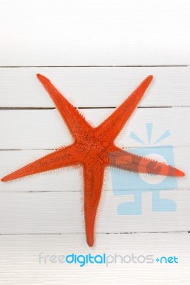 Orange Starfish Stock Photo