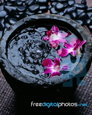 Orchid In Water With Pebble Stock Photo