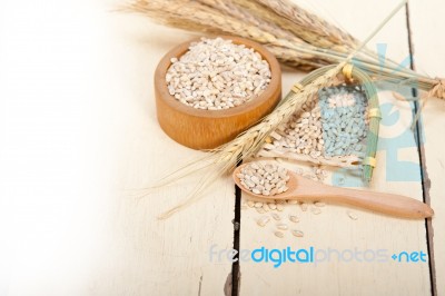 Organic Barley Grains Stock Photo Organic Barley Grains Stock Photo