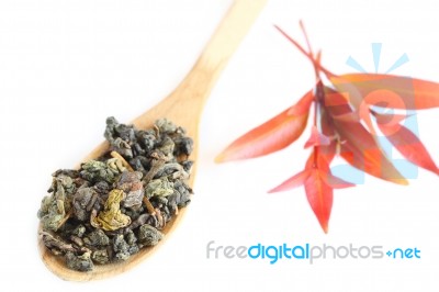 Organic Tea Leaves Stock Photo