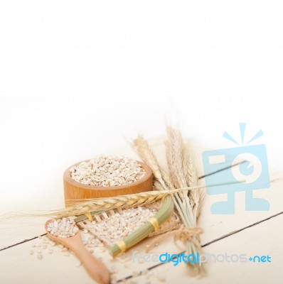 Organic Wheat Grains Stock Photo