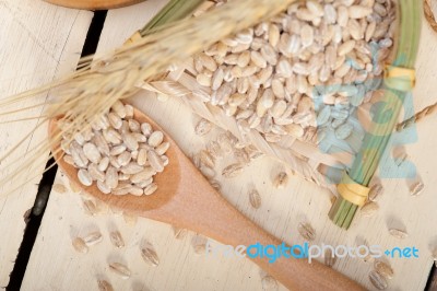 Organic Wheat Grains Stock Photo