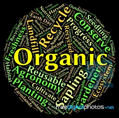 Organic Word Representing Healthy Biotic And Natural Stock Image