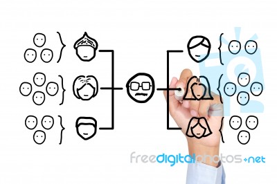 Organization Chart Stock Photo